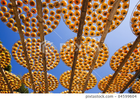Process of Making Dried Persimmon during Windy Autumn in Hsinpu (With Chinese Name of the Factory"Wei Wei Gia") , Hsinchu, Taiwan. Process of Making Dried Persimmon during Windy Autumn in Hsinpu (With Chinese Name of the Factory"Wei Wei Gia") , Hsinchu, Taiwan. 84599604