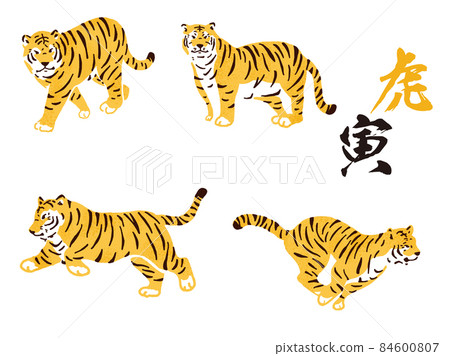 Tiger Illustrations: Animals, Zodiac, Zodiac, Tiger, Cute, Tiger, New Year, Tiger Year, Japanese, Feline, Cute, Cool, Tiger 84600807