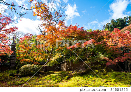 日本遺產松島圓通寺秋葉石園 日本遺產松島圓通寺秋葉石園 84601233