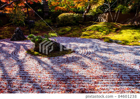 日本遺產松島圓通寺秋葉石園 日本遺產松島圓通寺秋葉石園 84601238