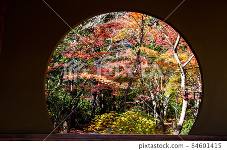 從日本遺產松島圓通寺 Azumaya 看到的秋葉 84601415
