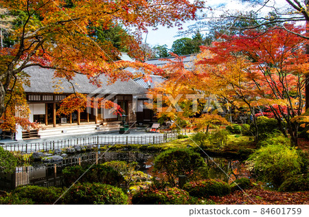 日本遺產松島圓通寺本堂大比亭和小堀遠州的花園 日本遺產松島圓通寺本堂大比亭和小堀遠州的花園 84601759