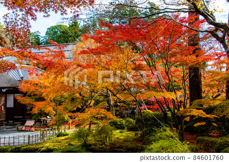 日本遺產松島圓通寺本堂大比亭和小堀遠州的花園 84601760