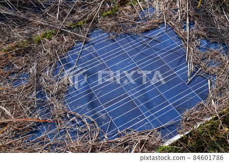 Grass-covered solar panels Grass-covered solar panels 84601786
