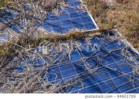 Grass-covered solar panels 84601789