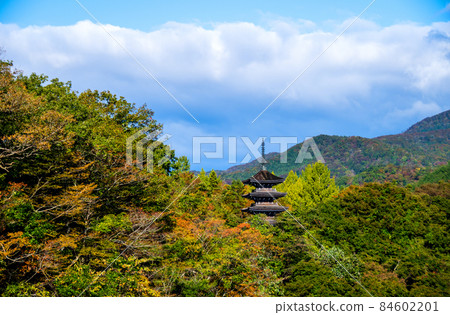 仙台市定義 Jodo-shu Gokurakuzan Saihoji Temple Definition 從橋上看到的五層寶塔 仙台市定義 Jodo-shu Gokurakuzan Saihoji Temple Definition 從橋上看到的五層寶塔 84602201