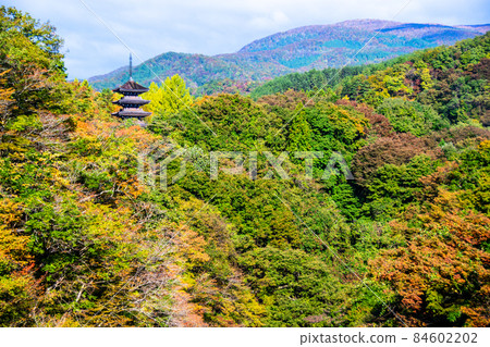 仙台市定義 Jodo-shu Gokurakuzan Saihoji Temple Definition 從橋上看到的五層寶塔 仙台市定義 Jodo-shu Gokurakuzan Saihoji Temple Definition 從橋上看到的五層寶塔 84602202