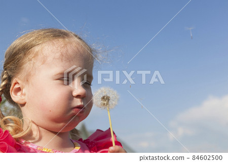 Little girl blowing a dandelion Little girl blowing a dandelion 84602500