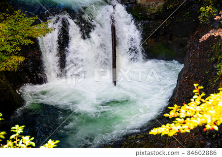 仙台市廣瀨川 Homeishijuhachi 瀑布 84602886