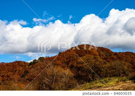 Sendai City Definition Heike's Ochijin no Sato Autumn Leaves Beech Forest Sendai City Definition Heike's Ochijin no Sato Autumn Leaves Beech Forest 84603035