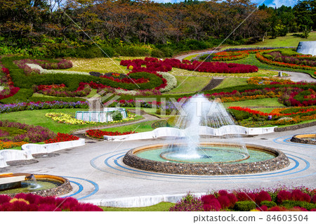 National Michinoku Forest Lakeside Park Aya no Hiroba Colored Kokia and Fountain National Michinoku Forest Lakeside Park Aya no Hiroba Colored Kokia and Fountain 84603504