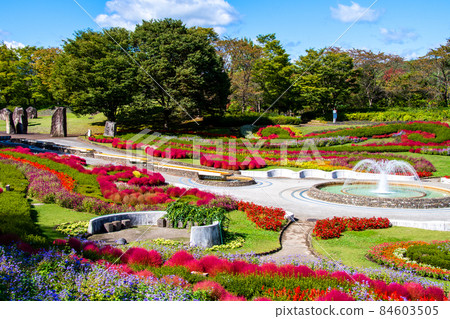國立陸奧森林湖濱公園 彩之廣場 彩繪小木屋和噴泉 84603505