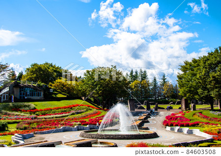 Michinoku Forest Lakeside Park, a white cloud that springs up in the sky of Aya no Hiroba 84603508