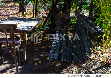 Ripe persimmon fruits in the garden 84604365