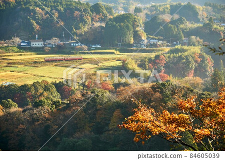 秋葉的里山和晨光下的複古小湊鐵道 秋葉的里山和晨光下的複古小湊鐵道 84605039