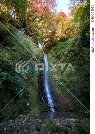 Konjin Waterfall and Autumn Leaves Yoro Valley 84605042