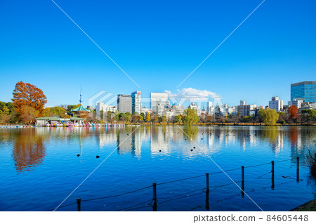 上野不忍池及周邊景觀東京晴空塔 84605448