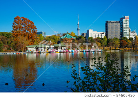 上野不忍池及周邊景觀東京晴空塔 84605450