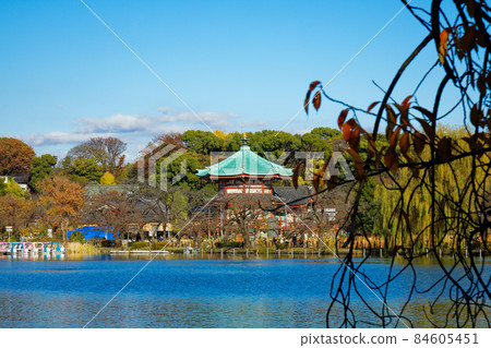 上野不忍池弁財天及周邊景觀 84605451