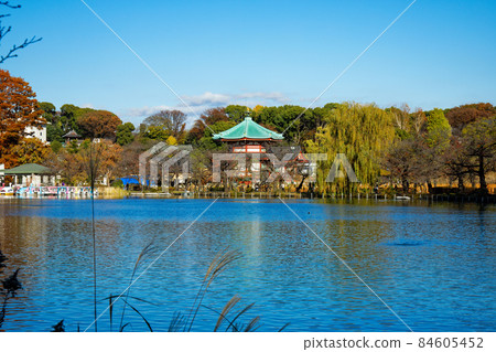 上野不忍池弁財天及周邊景觀 84605452