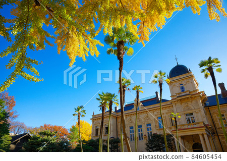 舊岩崎屋 銀杏樹 黃葉 84605454