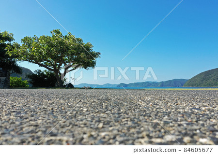 Shodon beach on Kakeromajima in Amami 84605677
