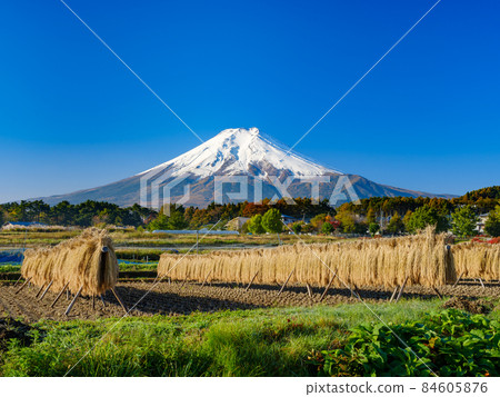 Superb view of Mt. Fuji and rice haze 84605876