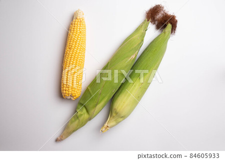 Fresh corn cobs on flat white background 84605933