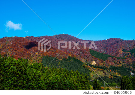 From Kurikomakokutei Park Narukokyo Otani Bridge, you can enjoy the scenery of the peaks of autumn leaves and the evergreen cedar forest. 84605966