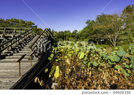 鳥取縣米子市 Hokikodainooka 公園古代哈斯花園 84608386