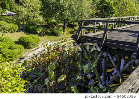 鳥取縣米子市 Hokikodainooka 公園古代哈斯花園 鳥取縣米子市 Hokikodainooka 公園古代哈斯花園 84608389