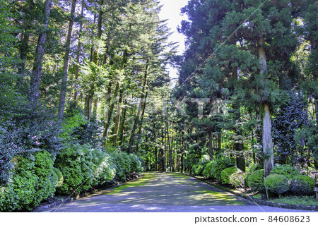 Tama Ryo / Musashi Noryo 進入東京八王子市 Tama Ryo / Musashi Noryo 進入東京八王子市 84608623