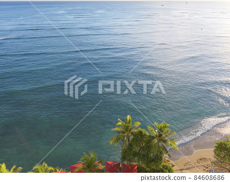平靜的夏威夷海和日落染成的棕櫚樹 84608686