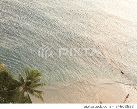 平靜的夏威夷海和日落染成的棕櫚樹 平靜的夏威夷海和日落染成的棕櫚樹 84608688