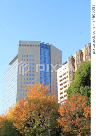 東京醫科大學牙科醫院 東京醫科大學牙科醫院 84609385