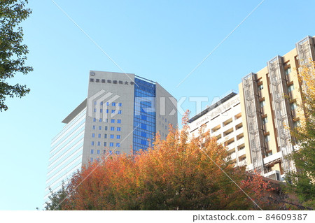 Tokyo Medical and Dental University Hospital Tokyo Medical and Dental University Hospital 84609387