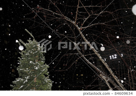 白雪皚皚的冬夜的美麗風景 白雪皚皚的冬夜的美麗風景 84609634