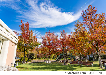 Kaizu City, Gifu Prefecture Autumn Aqua World Mizugo Park Center with beautiful autumn leaves of sweetgum 84609705