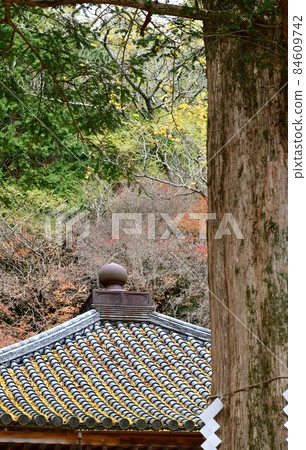 秋天的福地寺 秋天的福地寺 84609742