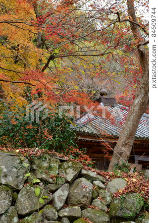 秋天的福地寺 84609744