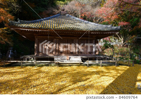 秋天的福地寺 秋天的福地寺 84609764