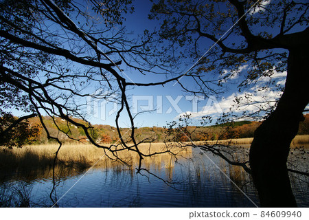 Lake Ippeki (Numaike) in late autumn 84609940