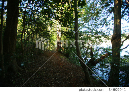 Lake Ippeki (Numaike) in late autumn 84609941