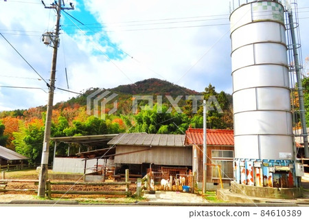 [廣島縣] 擁有美味冰淇淋的牧場東廣島 84610389