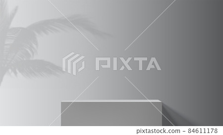 Grayscale studio background with palm branches Grayscale studio background with palm branches 84611178