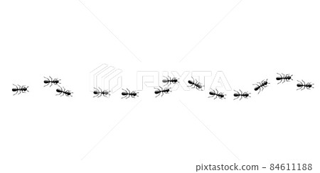 Ants trail pattern. Ant path isolated in white background. Vector illustration Ants trail pattern. Ant path isolated in white background. Vector illustration 84611188