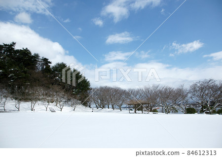 Tottori four seasons walk winter Qingdao 84612313