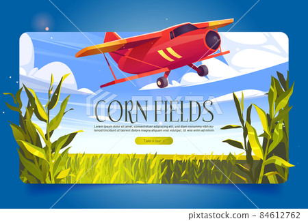 Corn fields banner with plants and red airplane 84612762