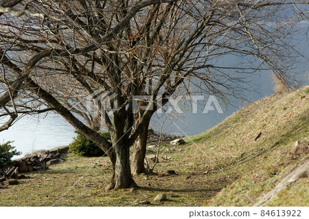 Tottori four seasons walk winter Qingdao Tottori four seasons walk winter Qingdao 84613922