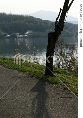 Tottori four seasons walk winter Qingdao 84613959